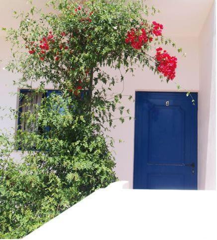 Fragokastello Star Apartment Frangocastelo ห้อง รูปภาพ