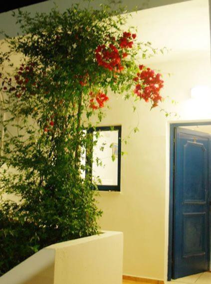 Fragokastello Star Apartment Frangocastelo ภายนอก รูปภาพ